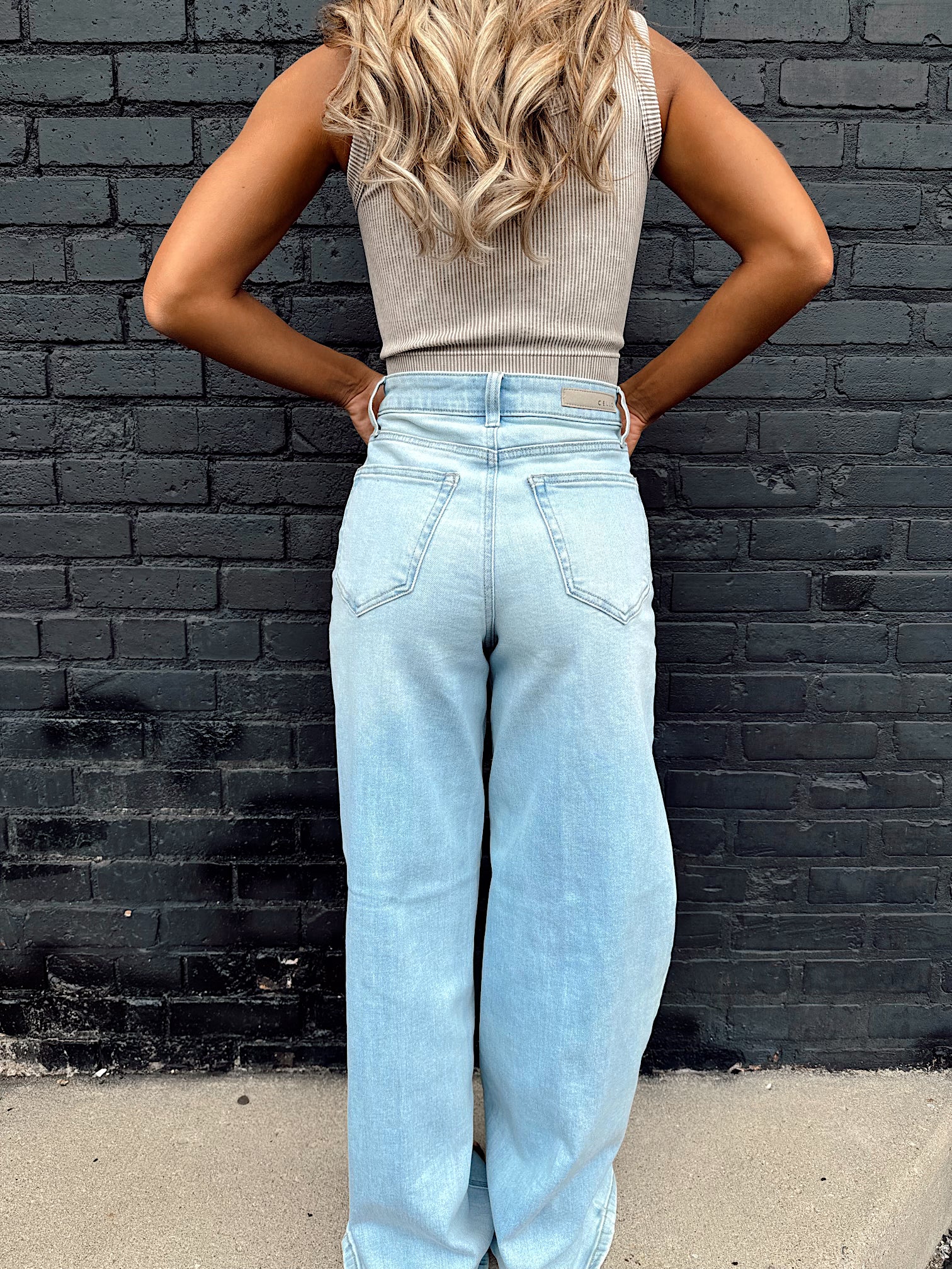 Carpe Diem Light Wash Wide Leg Jeans