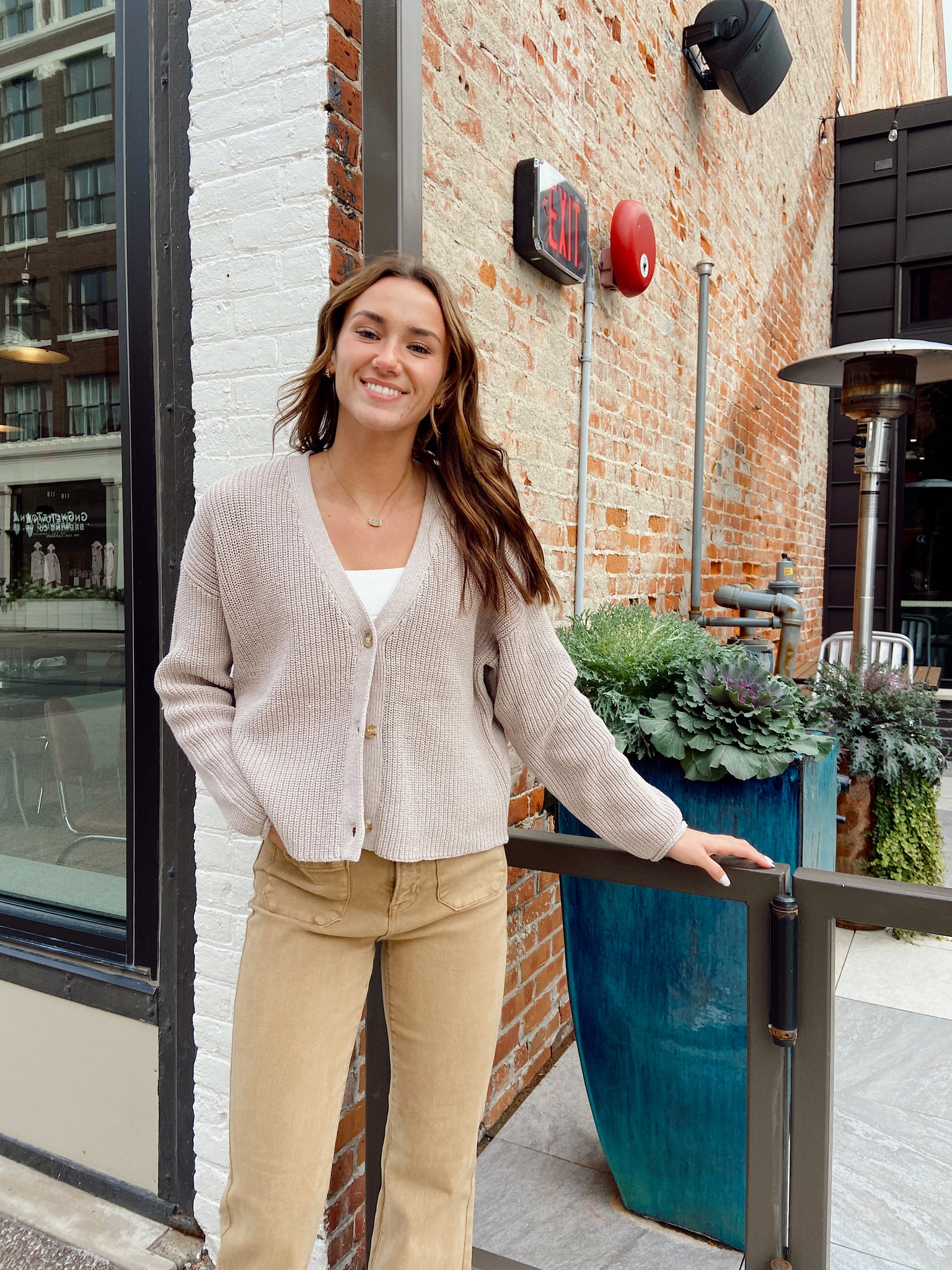 Silver Springs Taupe Sweater